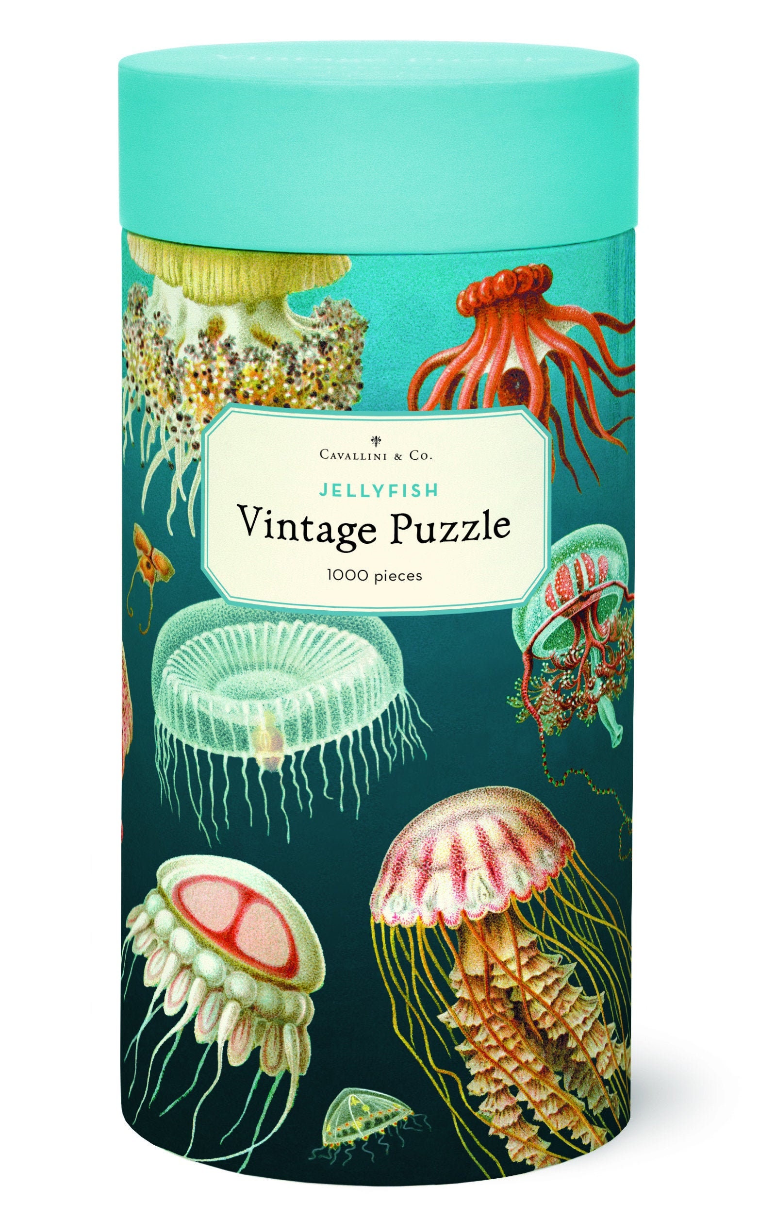Cavallini Vintage Puzzle Jellyfish 1000 pieces Puzzle Etsy