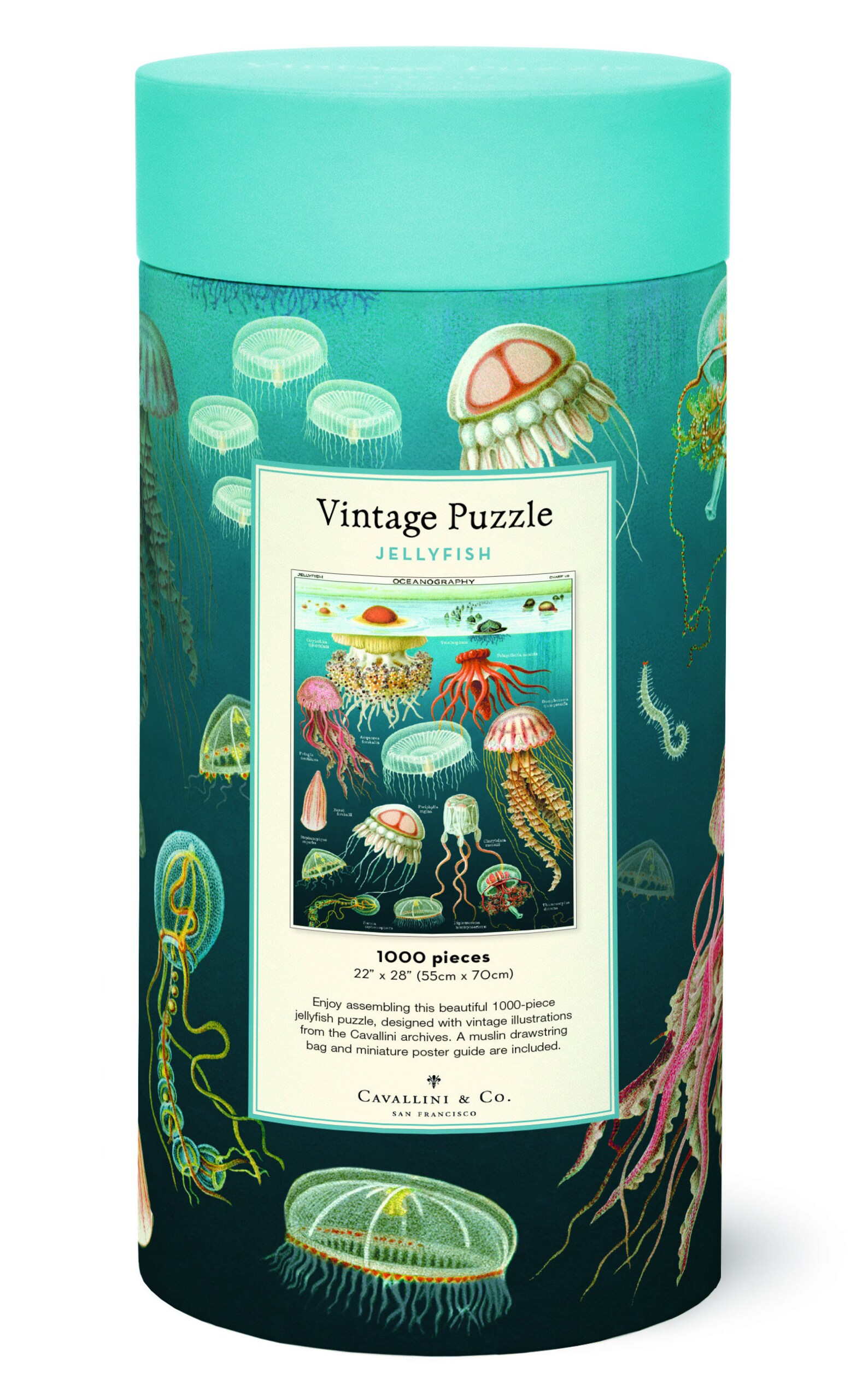 Cavallini Vintage Puzzle Jellyfish 1000 pieces Puzzle Etsy