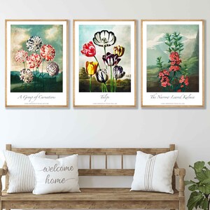VINTAGE Botanical Carnations Flowers Wall Art Prints Floral prints of Thornton Paintings with landscape Scene Pictures Posters