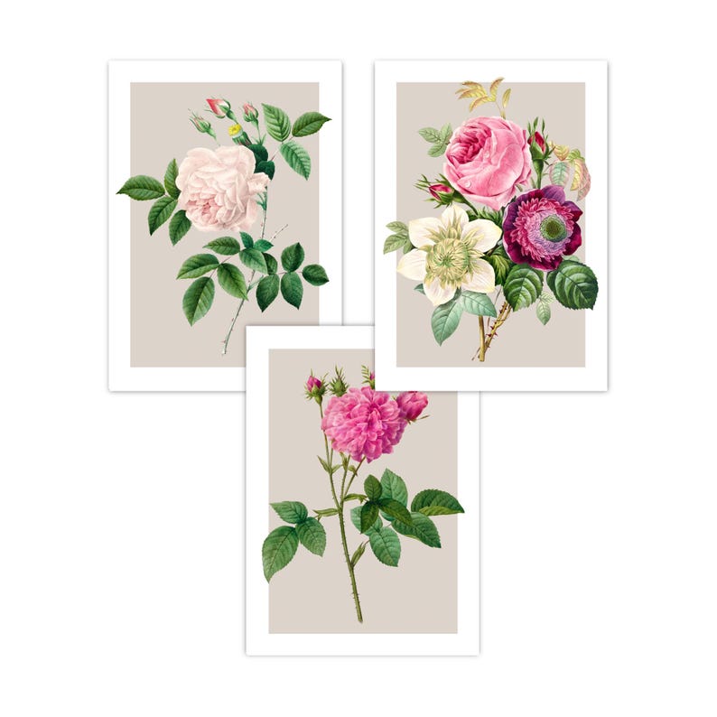 Vintage Rose Print Set | Pink Floral Wall Art, Set of 3 Framed Prints Prints Only