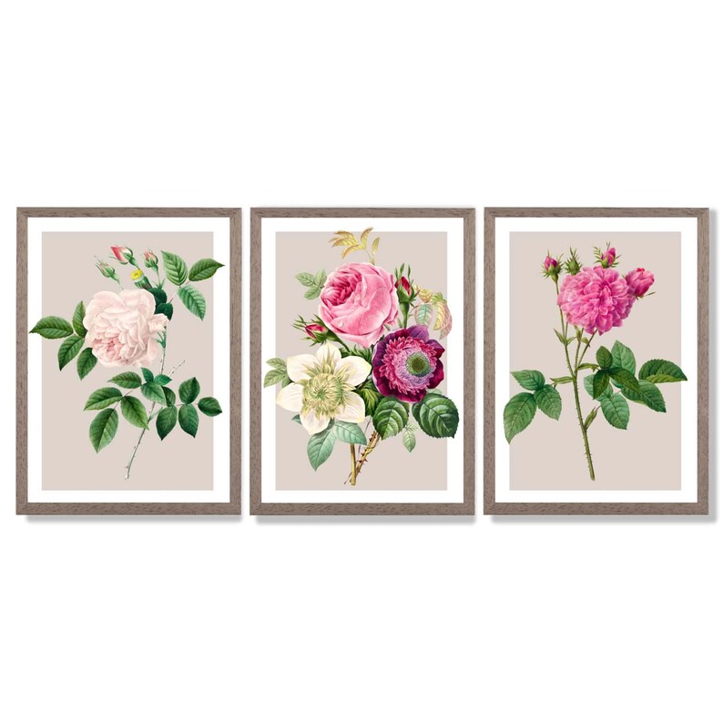 Vintage Rose Print Set | Pink Floral Wall Art, Set of 3 Framed Prints Walnut Frames