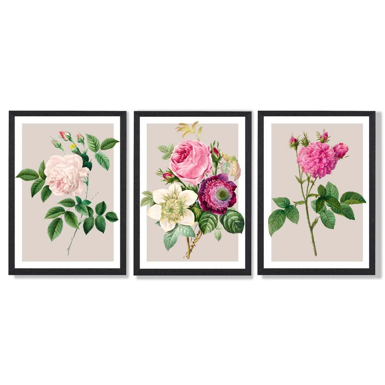 Vintage Rose Print Set | Pink Floral Wall Art, Set of 3 Framed Prints Black Frames