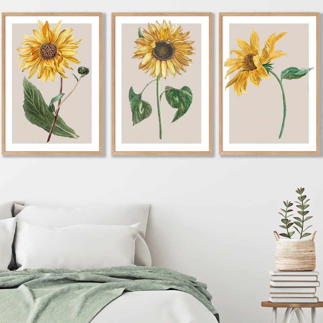 Vintage Poster Prints Set of 3 Sunflowers Floral Wall Art Framed - Etsy UK