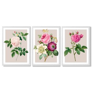 Vintage Rose Print Set | Pink Floral Wall Art, Set of 3 Framed Prints White Frames