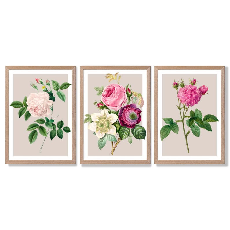 Vintage Rose Print Set | Pink Floral Wall Art, Set of 3 Framed Prints Oak Frames