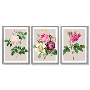 Vintage Rose Print Set | Pink Floral Wall Art, Set of 3 Framed Prints Light Grey Frames