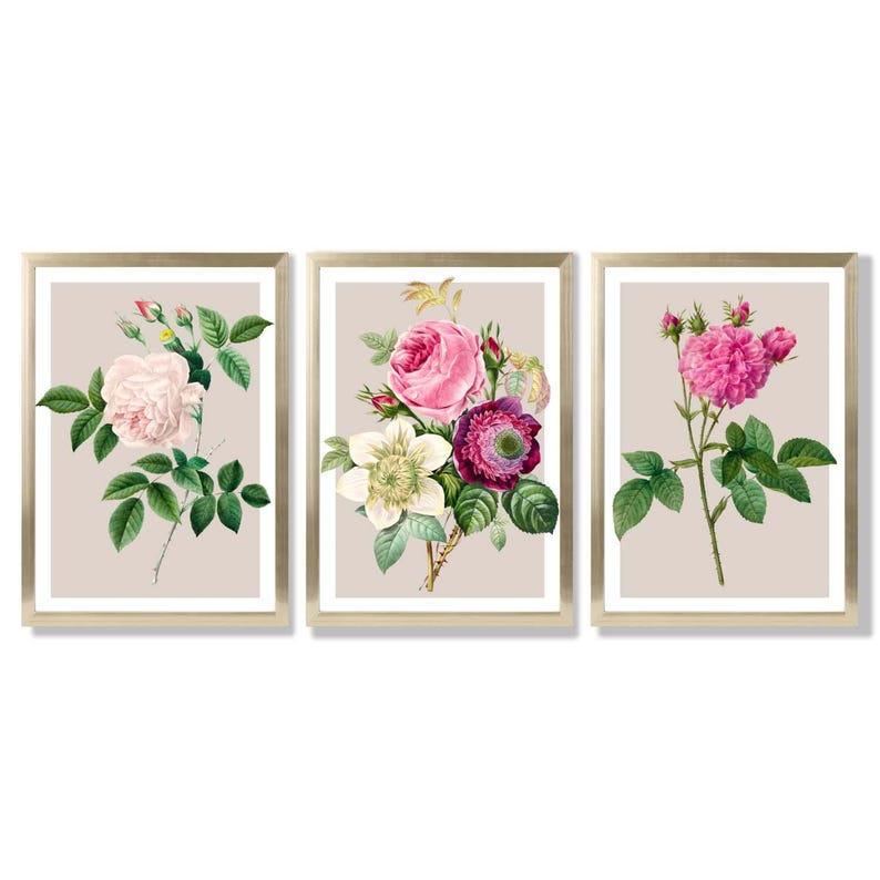 Vintage Rose Print Set | Pink Floral Wall Art, Set of 3 Framed Prints Gold Frames