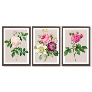 Vintage Rose Print Set | Pink Floral Wall Art, Set of 3 Framed Prints 画像 8