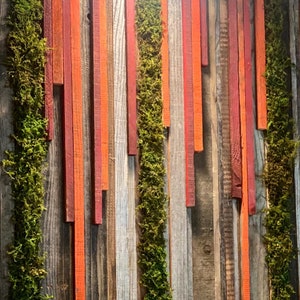 Sunset Hanging Garden rustic reclaimed redwood wood and moss Wall Art Panel image 6