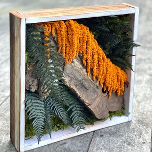 Autumn Moss Box Art