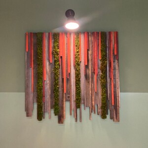 Sunset Hanging Garden rustic reclaimed redwood wood and moss Wall Art Panel image 9