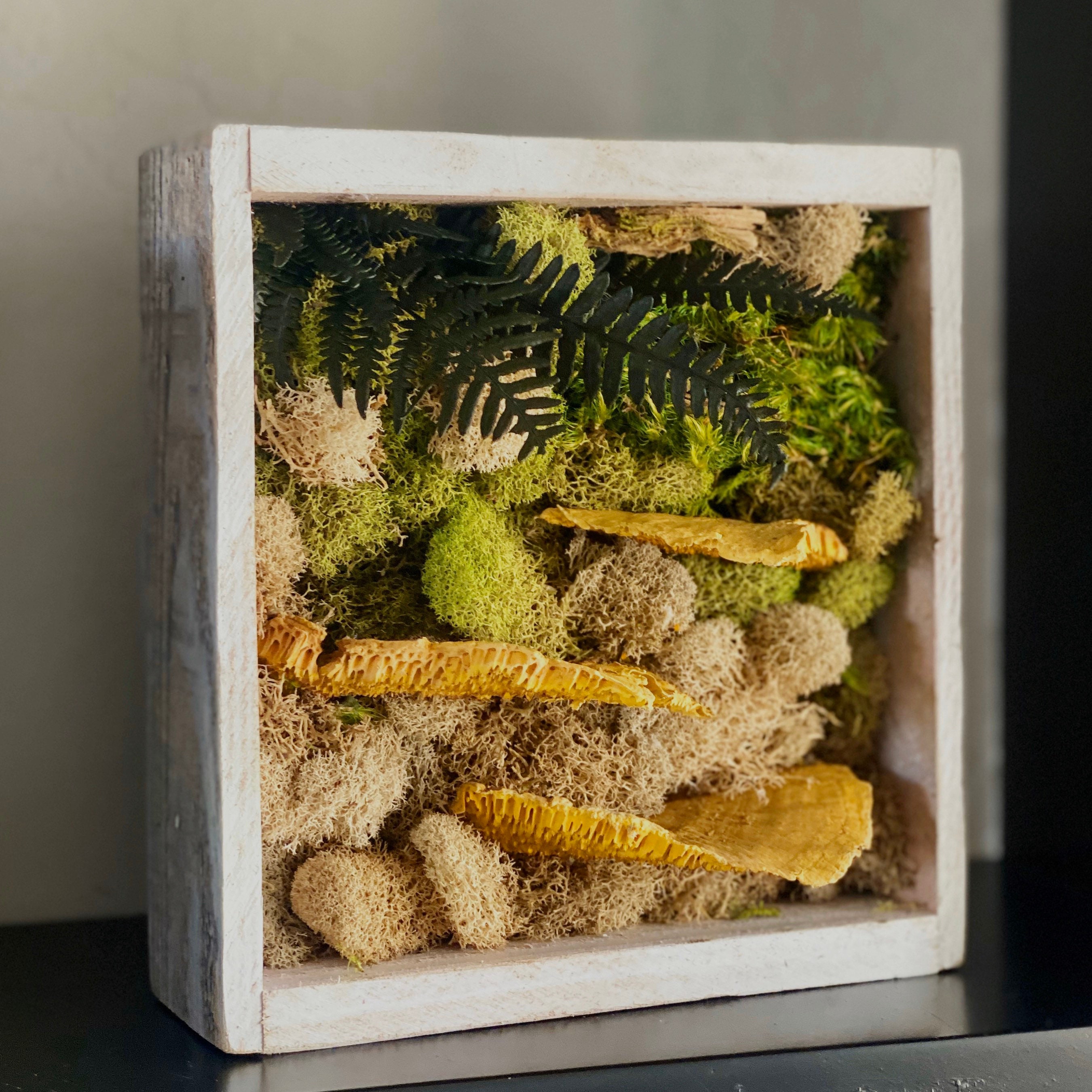 置物 mstforest Forest in a Box - Etsy
