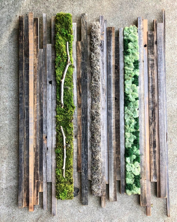 Wall Garden Mixed Fields Preserved Moss and Rustic Wood Art Panel