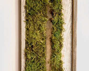 Mini Wall Garden / Moss Art