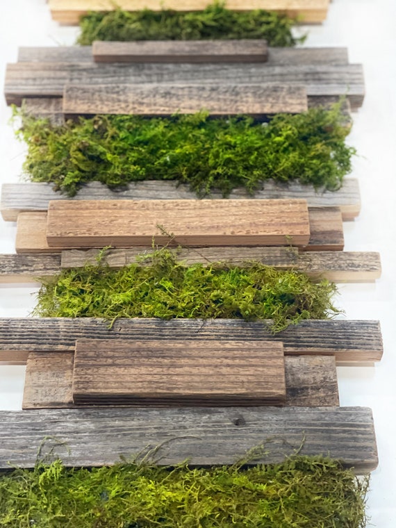 Wood and Moss Wall Art - Statuswood