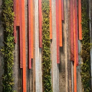 Sunset Hanging Garden rustic reclaimed redwood wood and moss Wall Art Panel image 3