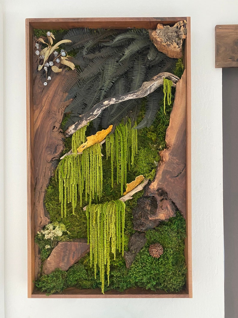 Hanging Jungle/ Walnut Slabs Etsy India