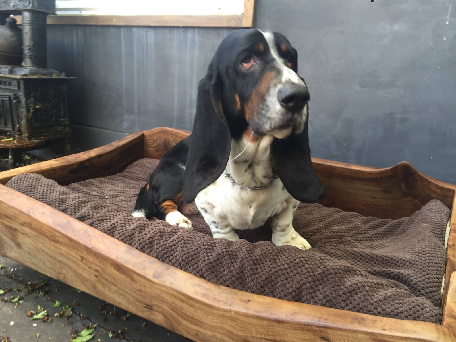 Live Edge Walnut Dog Bed Etsy