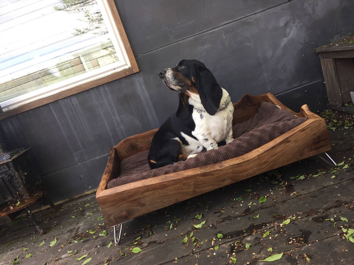 Live Edge Walnut Dog Bed Etsy