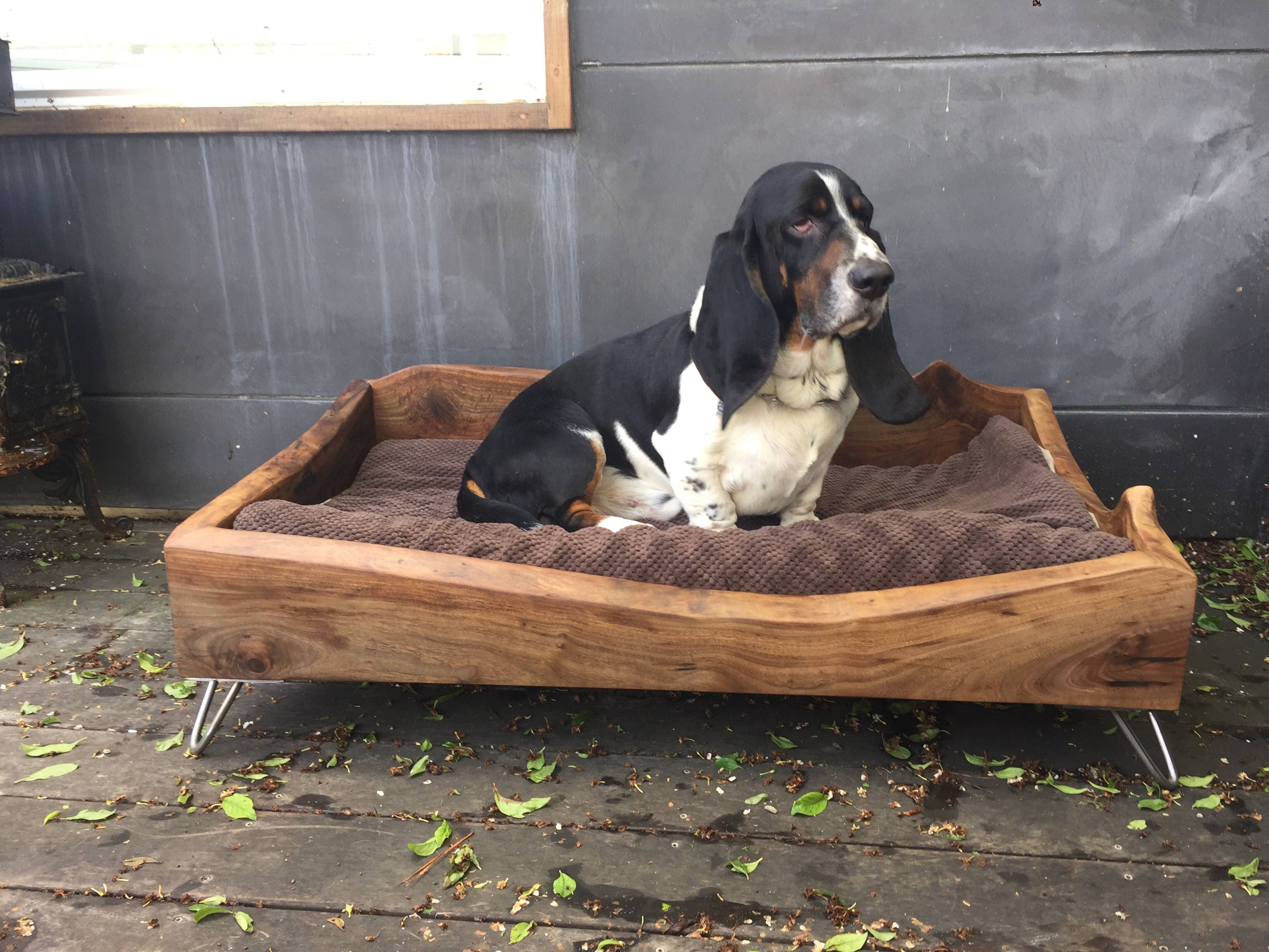 Live Edge Walnut Dog Bed Etsy