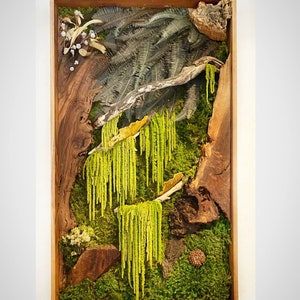 Hanging Jungle/ walnut slabs