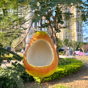 Hanging Bird Feeder for Garden Outdoor for birds Feeding