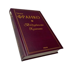 Ukrainisches Buch. &quot;Die Abgeschiedenheit Galiciens&quot;. Iwan Franko.  Neu. &quot;Abteilung Galicien&quot;. Iwan Franko. Ordentlich. Yu.Vynnychuk. 586. 2021. Neu.