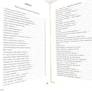 Ukrainian book Three hundred poems. Selected. Poems. Lina Kostenko. New. Триста поезій. Вибране. 300. Ліна Костенко. 416 ст. 2020р. Нова image 8