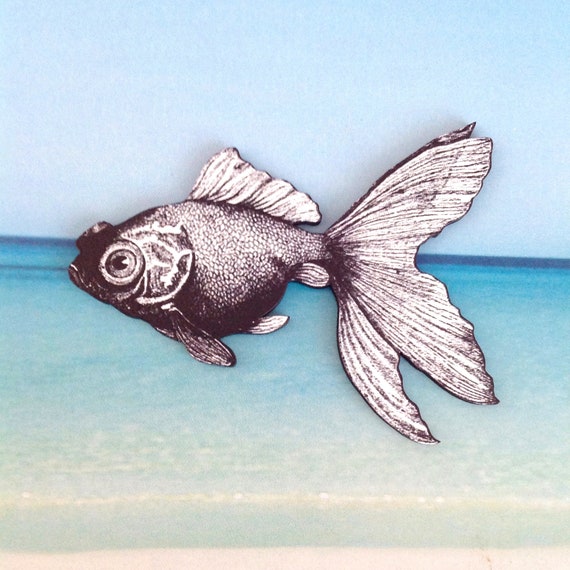 Solapa Insignia de estrellas de mar animal estrellas de mar con Estrás Broche Para La Ropa Decoración uno