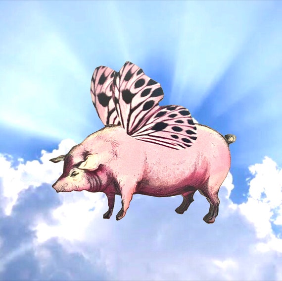 Pig brooch deals