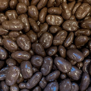Dark Chocolate Covered Pecans 12 oz