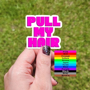 Pull My Hair Sticker, Kinky NSFW Masochist Gift for Dom