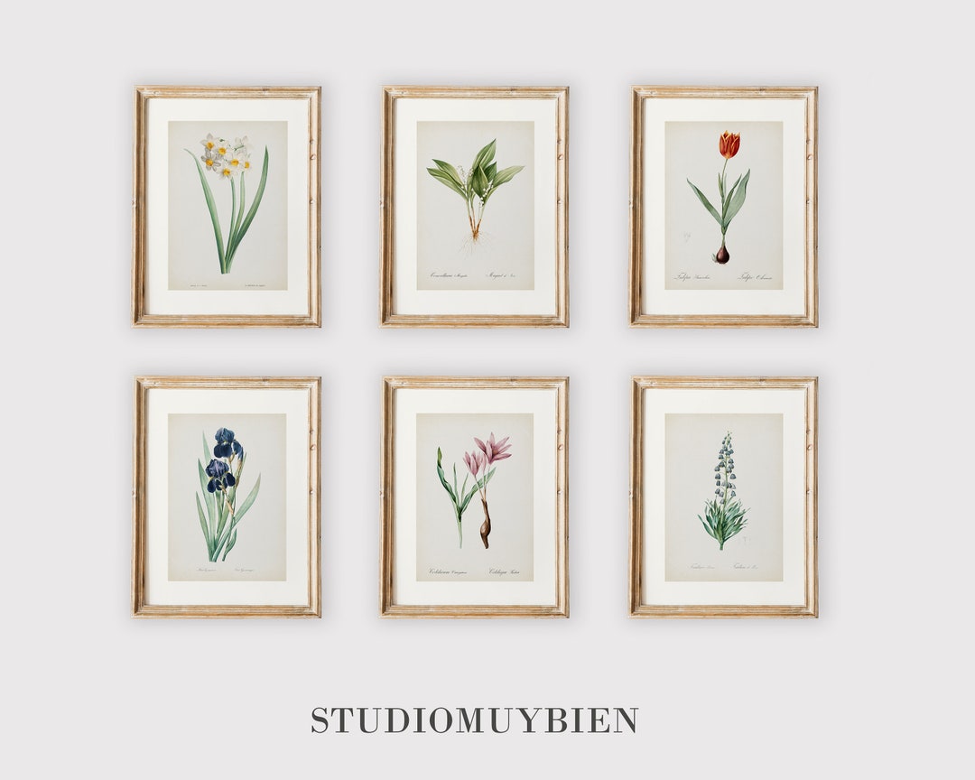 Vintage Botanical Gallery Wall Art Set of 6 Rustic Print Cottagecore