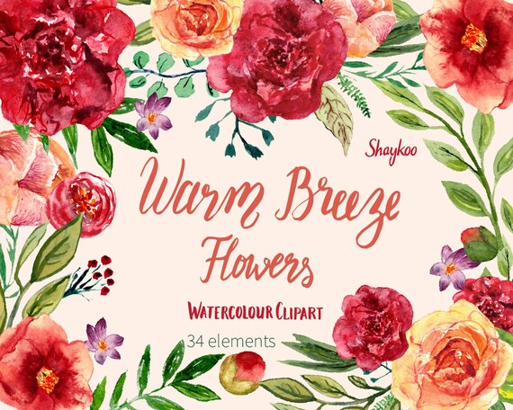 Clipart Roses Or Aquarelle Fleurs Rouge Chaud Clipart Camelia Rouge Floral Peint à La Main Bricolage Invitations Invitations De Mariage Floral