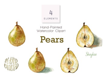 Pear Watercolor Clipart, Hand Painted Pears, Pear with Shadow Illustration, Pear Clipart, Fruit Clipart, Green Fruit, Half Pear, Png Pear