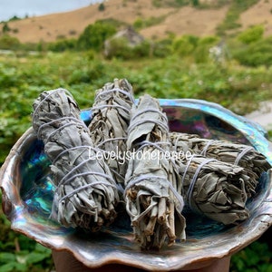 Sage Smudge Stick