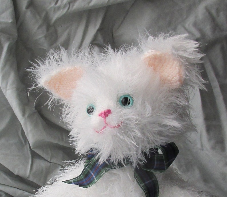 kitten teddy