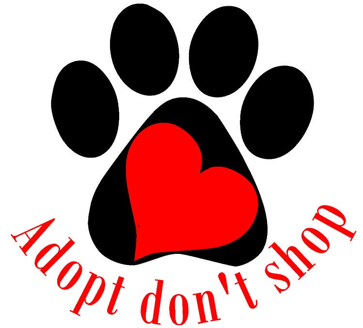 Adopt don't shop car decal | Etsy