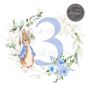 Peter Rabbit 3rd Birthday PNG, Peter Rabbit Blue Floral Wreath Watercolour Design, Card Design, Instant Digital Download, Printable