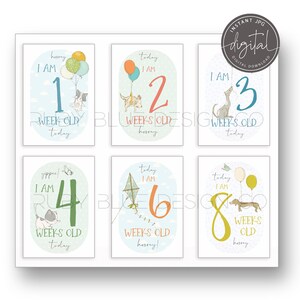 Milestone Cards Digital Downloads 18 arquivos JPG Clipart New Baby Graphics Milestone Digital Download para impressão