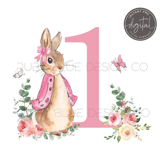 Peter Rabbit 1 Flopsy Pink Floral PNG Peter Rabbit Leaves | Etsy