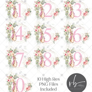 Rosa Flopsy Kaninchen Bundle 10 Zahlen Geburtstag PNG, Peter Rabbit rosa Blumen Kranz Aquarell Design, instant Digital Download, druckbare