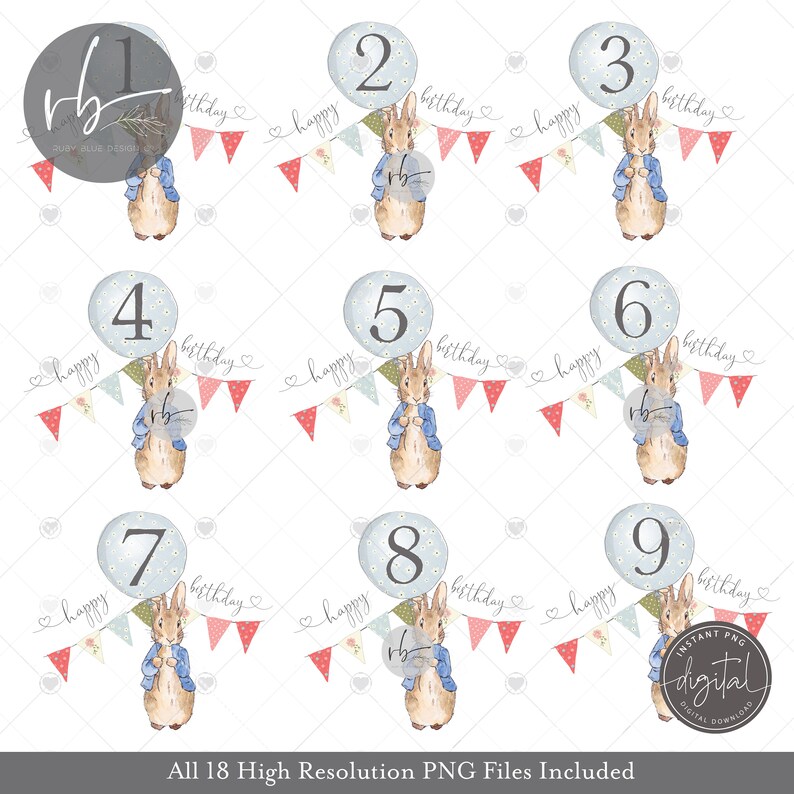 Peter & Flopsy Rabbit Birthday Balloon PNG Bundle Numbers 1-9 - Etsy UK