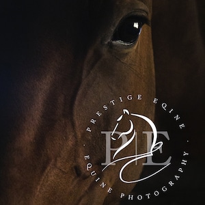 Pre-made Submark Logo,Equine Logo Design, Horse Logo, Mare Logo, Dressage Logo, Watermark, Logo Branding Package image 3