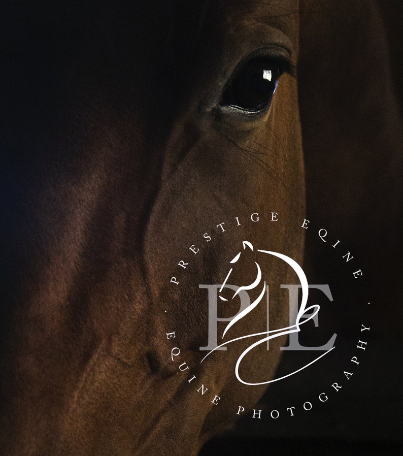 Pre-made Submark Logo,Equine Logo Design, Horse Logo, Mare Logo, Dressage Logo, Watermark, Logo Branding Package image 3