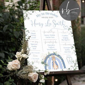 Digital Peter Rabbit Rainbow Milestone Personalised Welcome Sign First Birthday Welcome Sign,