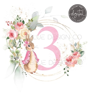 Flopsy rosa Peter Kaninchen 3. Geburtstag PNG, Peter Rabbit Blumen Kranz Aquarell Design, Karte Design, sofortiger digitaler Download, druckbare