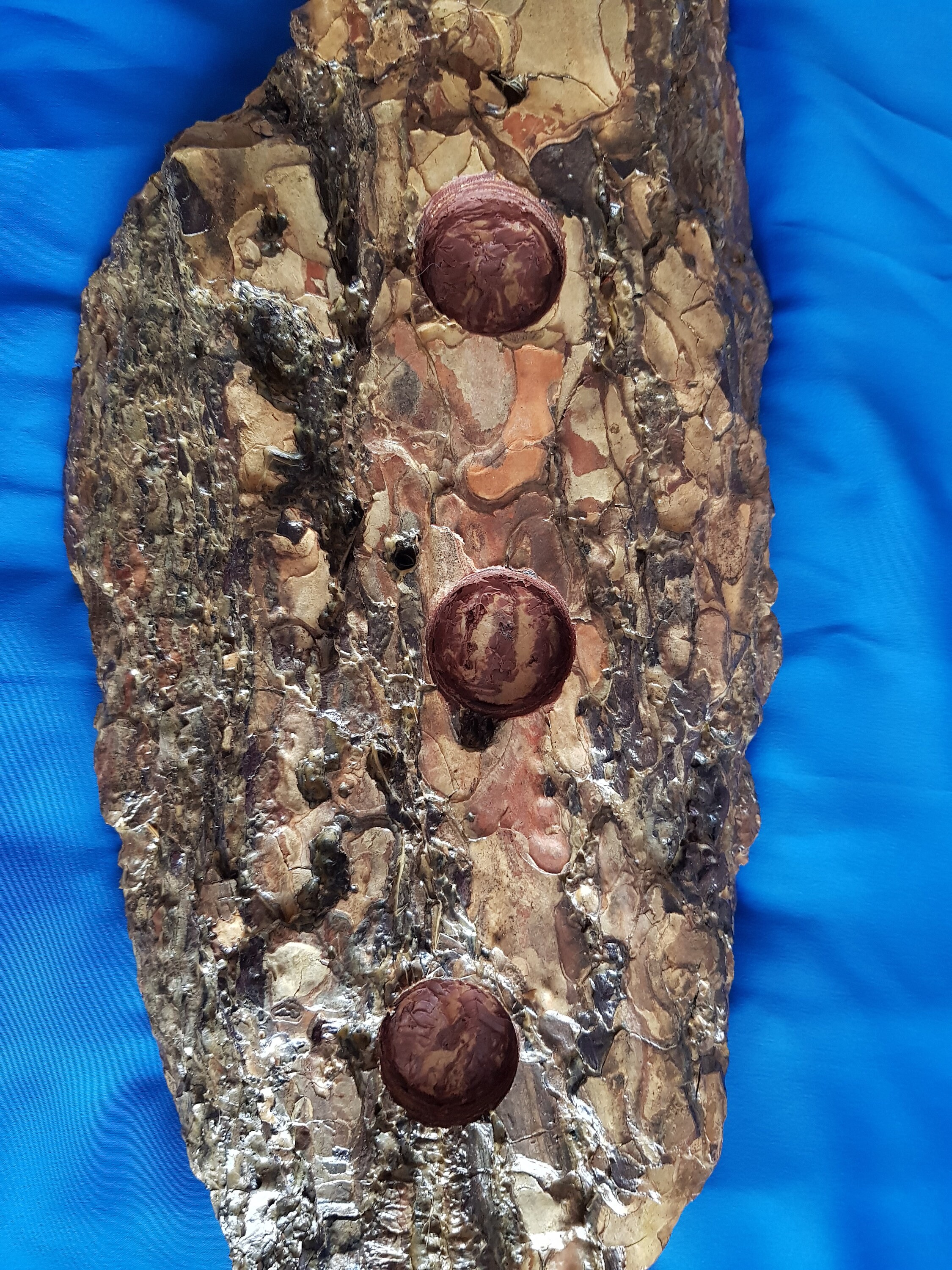 Hand Made Candle Holder Wooden Candle Holder Pine Bark Bark Etsy