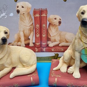 ラブラドール犬の置物、ゴールデンレトリバー犬、レトリバーのブック