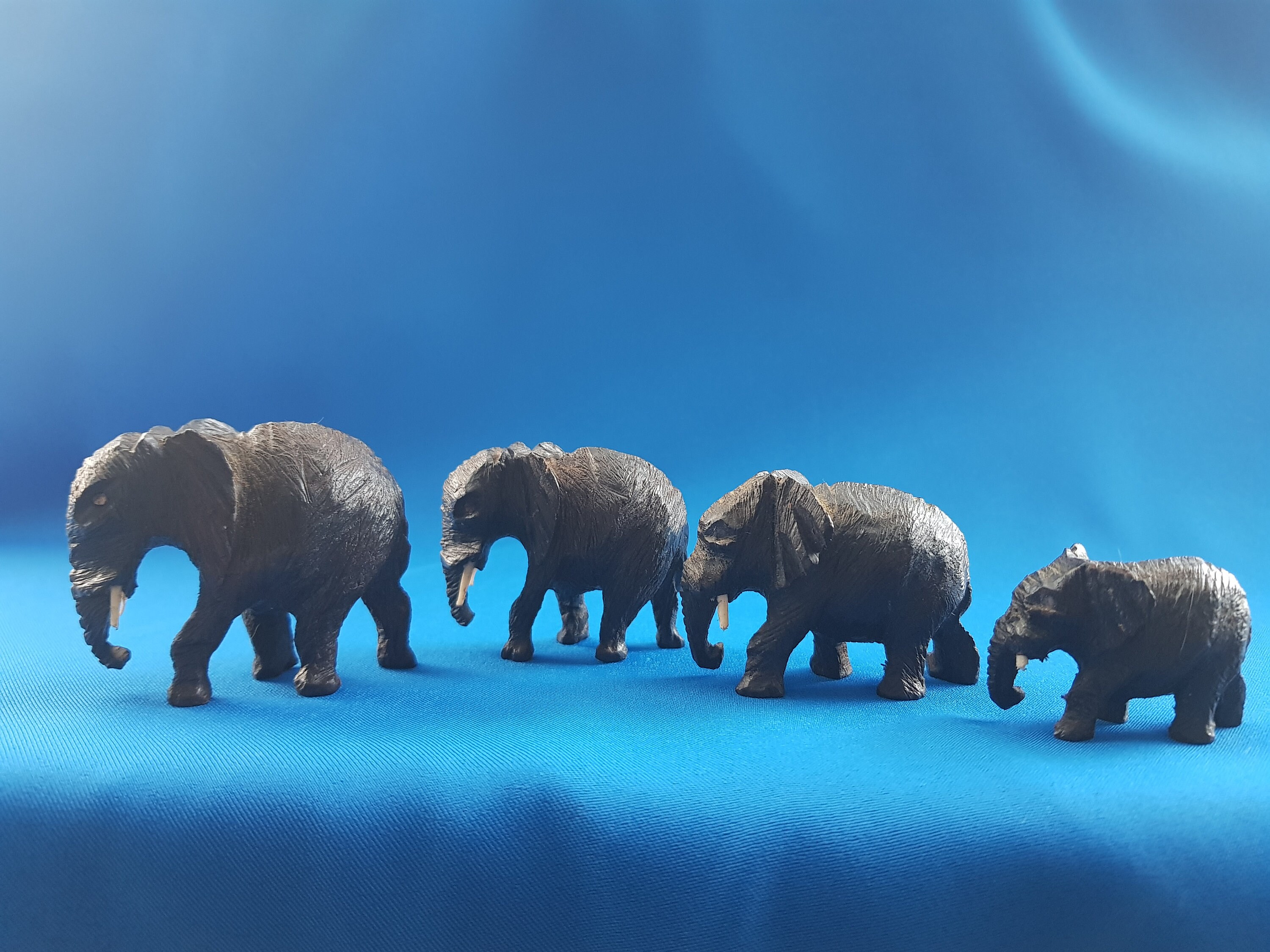 Poster Di Elefanti Con Palle. Fogli Di Elefanti Con Definizioni. Design